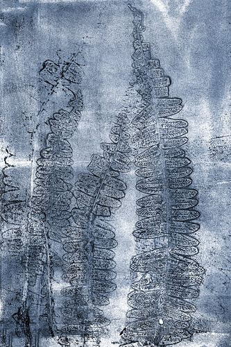 Abstract Botanisch. Varens in warm grijs, zwart en blauw.