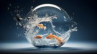 Fish on the run