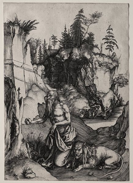 Sint Jerome in berouw, Albrecht Dürer van De Canon