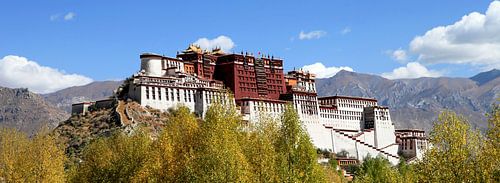 The Potala Palace in Lhasa Tibet