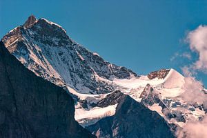 Besneeuwde toppen van de Jungfrau & Silberhorn van Steven Van Aerschot