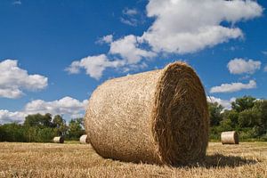 Strohballen auf einem Feld
