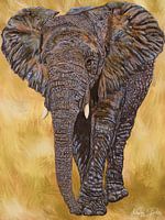 Gentle Giant in Golden Oil