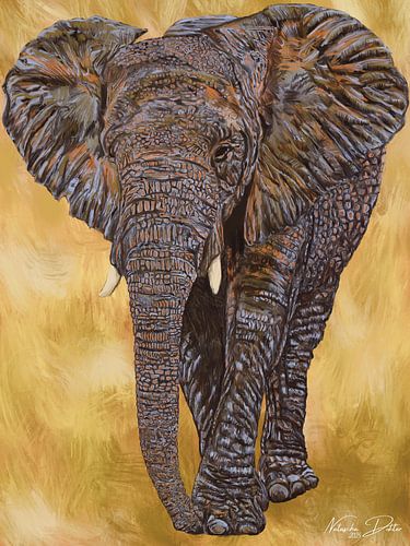 Gentle Giant in Golden Oil