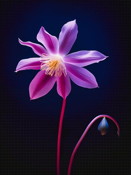 Columbine portret van Virgil Quinn - Decorative Arts