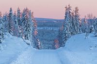 Sunrise during a drive over the Swedish mountains in early winter.