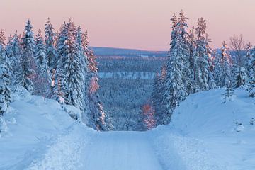 Zonsopgang tijdens een rit over de Zweedse bergen tijdens de vroege winter. van Mindy Molein