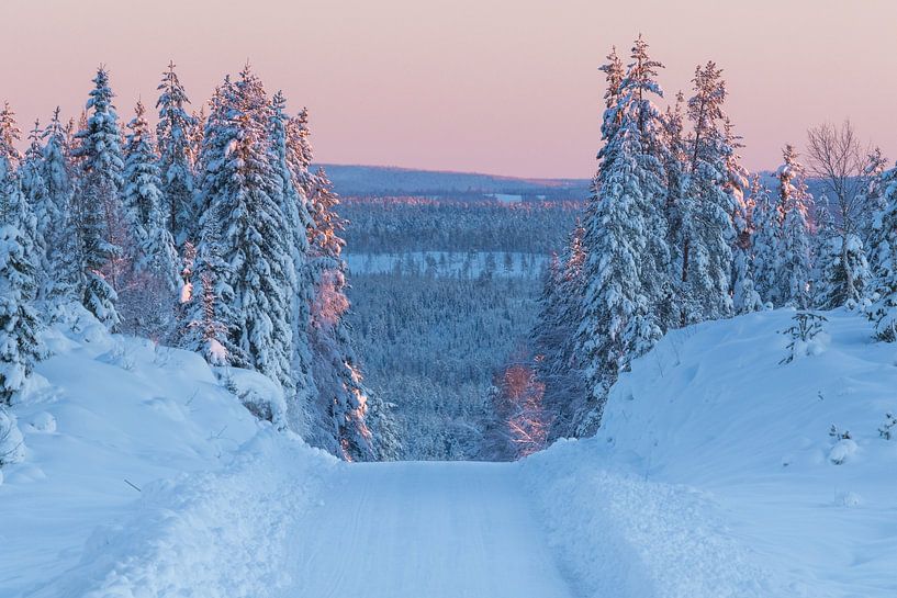 Sunrise during a drive over the Swedish mountains in early winter. by Shotz by Mindy