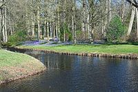 Voorjaar in Oranjewoud