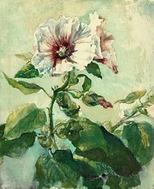 Studie über rosa Stockrosen im Sonnenlicht, aus der Natur, John La Farge