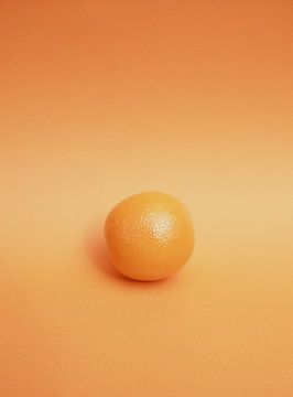 Sinaasappel van Pieter Boon