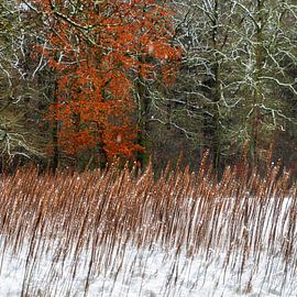 abstrakte Winterlandschaft