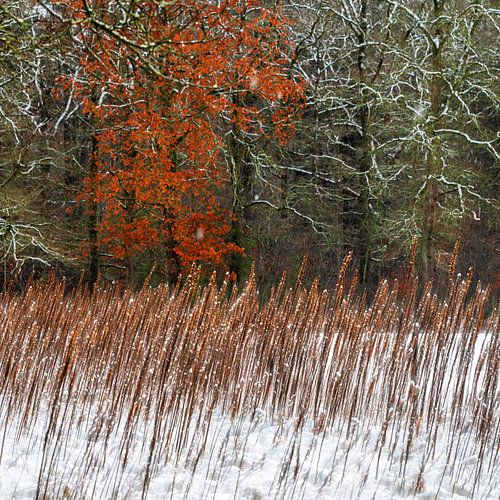 abstract winter landschap