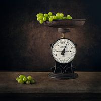 Modern Still Life