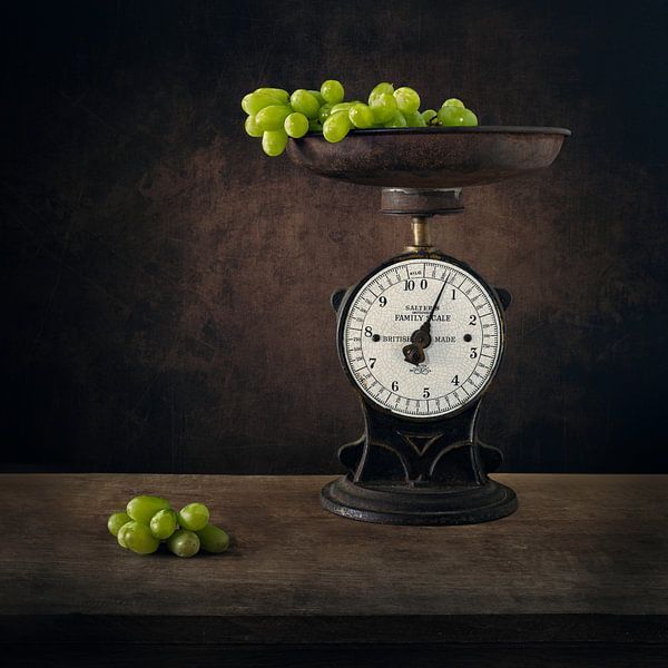 Modern Still Life by Silvia Thiel