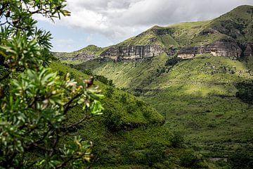 Groene bergen in Zuid-Afrika van Gerben Kolk