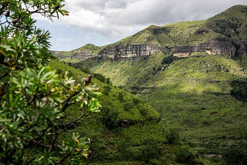 Grüne Berge in Südafrika