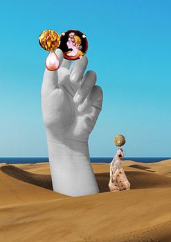 Ist die Wüste lebendig?