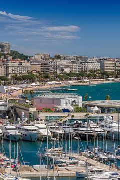 CANNES Croisette by Melanie Viola