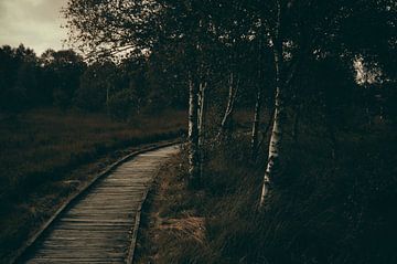 Eeuwige zee van Schwarzes Pech Photography