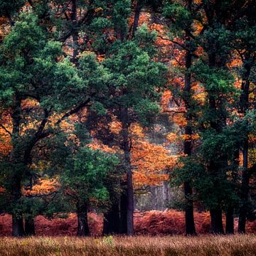 Battle between colors von Ruud Peters