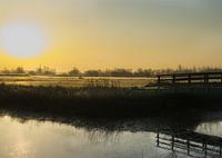 meadow in the first sunbeams