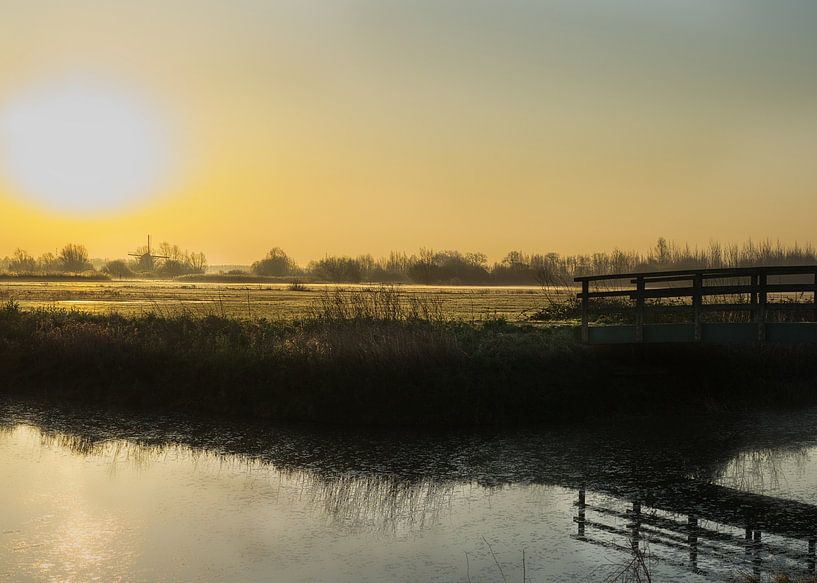 weiland in de eerste zonnestralen van Bart Nikkels