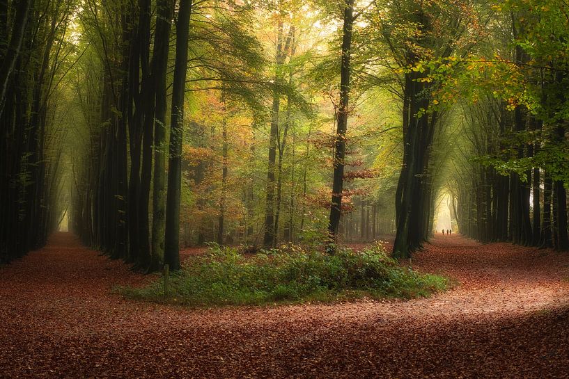 Welchen Weg wählen Sie.........? von Moetwil en van Dijk - Fotografie