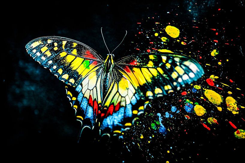 Bunter Schmetterling in abstraktem Design von Art & Soul Creations