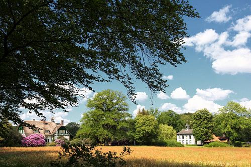 De borg van Antoon Morsink