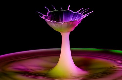 die wunderbare Welt der "Splash-Fotografie"....