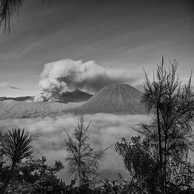 Bromo (vulkaan) indonesie van Jan Pel