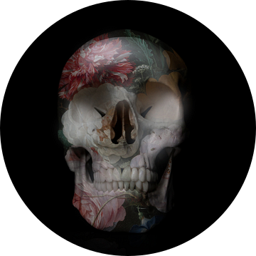 Skull 2.0 van Beeldmeester