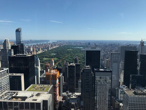 Central park