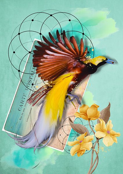 Paradijsvogel met vintage postkaart