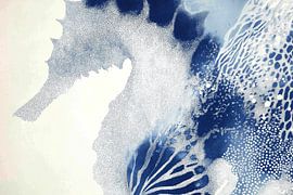 Zusammenfassung Seepferdchen von Chromatic Storm Studio