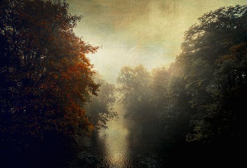 Morgenstimmung am Fluss Wupper von Dirk Wüstenhagen