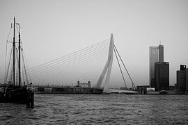 rotterdam