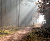 Emerging from the mist