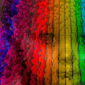 Gesicht in Farbe von Ans Bastiaanssen