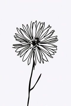 Minimalistische Blume in Strichzeichnung Schwarz und Weiß von De Muurdecoratie