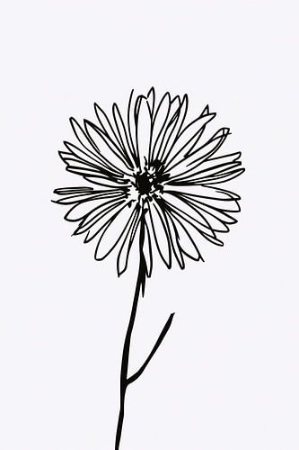 Minimalistische Bloem in Lijntekening Zwart Wit