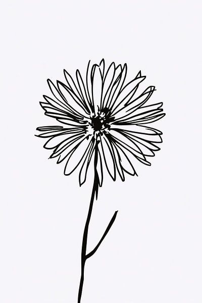 Fleur minimaliste en dessin au trait noir et blanc par Art & Soul Creations