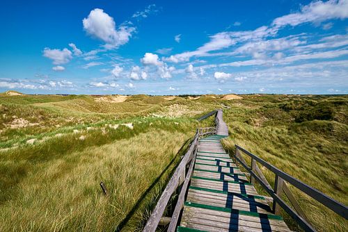 Amrum - Dünenlandschaft am Meer bei Norddorf