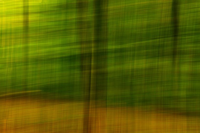 Groene stilte. van Anneke Hooijer