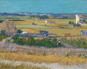 Die Ernte - Vincent van Gogh