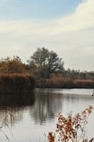 Dobbenplas in December
