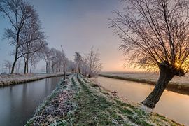 Frozen van Jan Koppelaar Fotografie