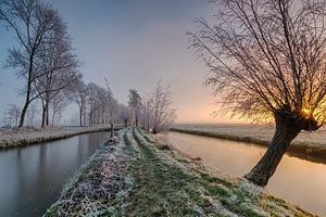 Frozen