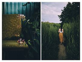 Souvenirs sur Steven Plitz